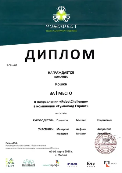 Скан награды: Робофест, 17 из 23